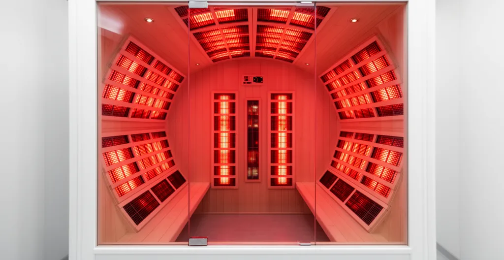 Vue intérieure d'un dôme infrarouge montrant le positionnement des émetteurs